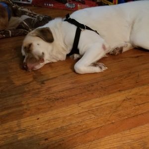 Meet your Posher, Crystal